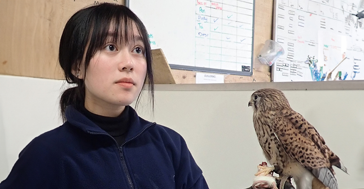 {"en-GB":{"og_description":""}}